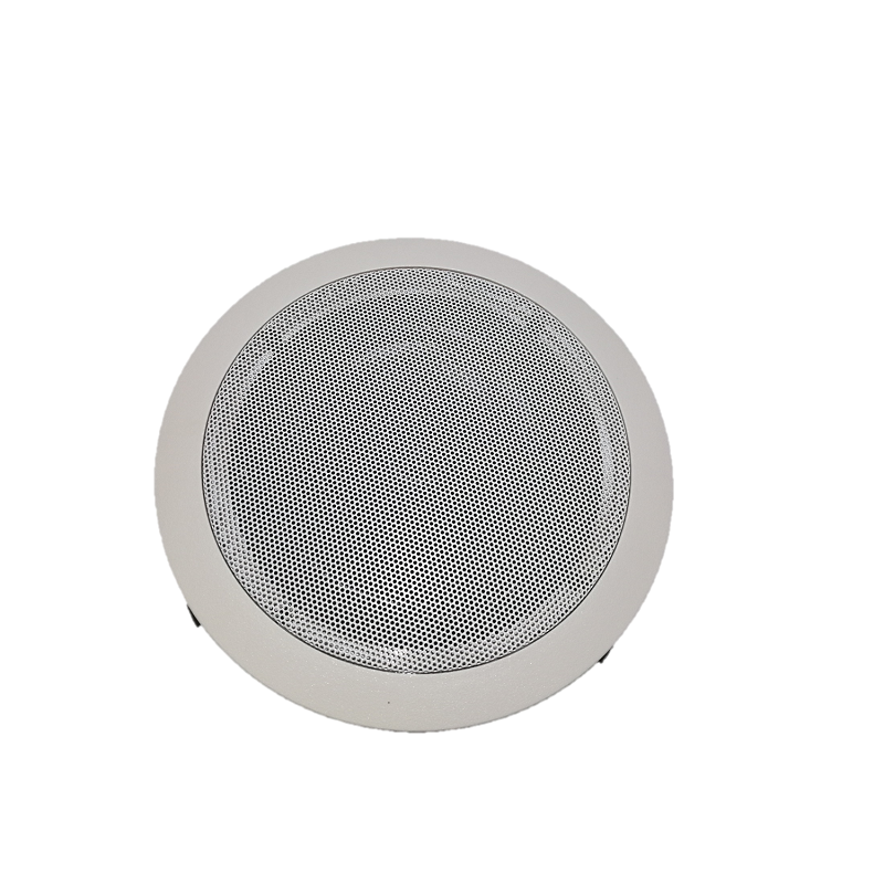 CEILING SPEAKER WITH BLUETOOTH